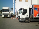 יום קידום מכירות שטראוס חיפה